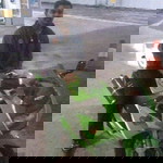 steve sivaji profile icon