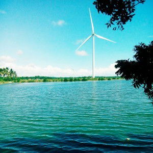 mich magtolis profile icon