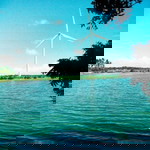 mich magtolis profile icon