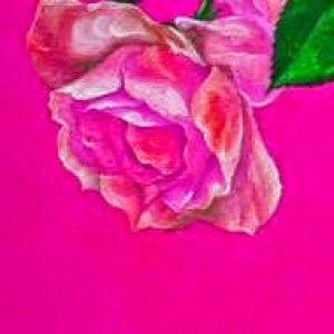 Cuong Luu Chi profile icon