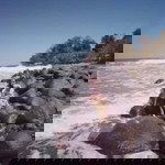 Yhaa Liaa Nuralam profile icon