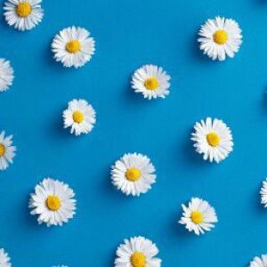 Effizah Tuah profile icon