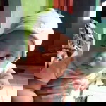 Iin Utami profile icon