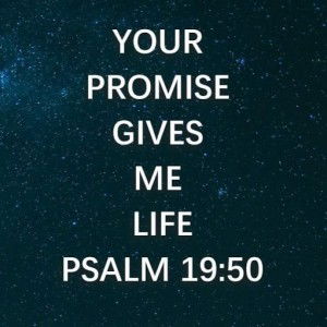 helendewarni tambunan profile icon