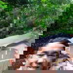 Tri Lisavona profile icon