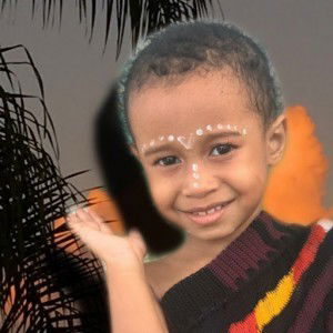 Wicky & Willow Official profile icon