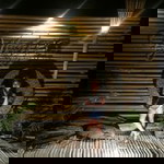 Catherine Mercado Coronel profile icon