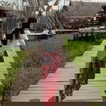 Strong Times profile icon