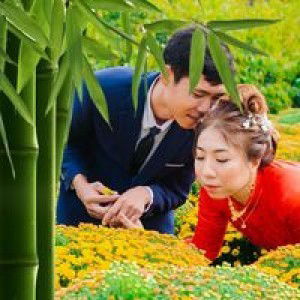 Lê Quyên profile icon