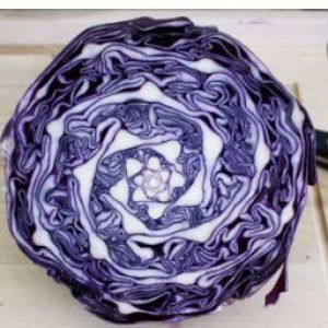 Domanic Ong profile icon