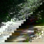 Yeni Kusmira profile icon