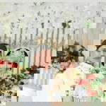 Erica Meitania K profile icon