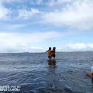 Marriel Pastrana profile icon