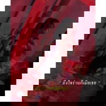 Noon Saithan profile icon