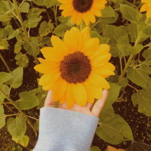 nabila rufaida profile icon