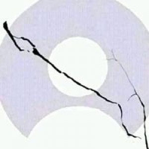 Emilia Febrianti profile icon