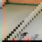 Bagus Shaputra profile icon