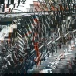 Yanticha Toniti profile icon