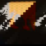 Pat Pat profile icon