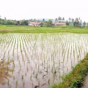 Iryani Ria profile icon