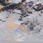 Lariza Adarme profile icon