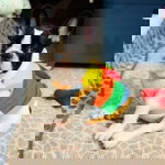 ดาวนภา ตาจุมปา profile icon