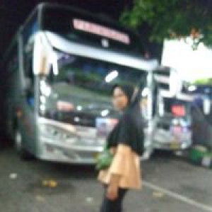 Saidah Np profile icon