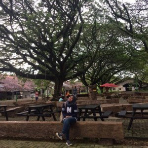 akusofie profile icon