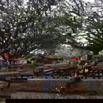 akusofie profile icon