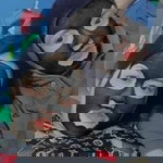 ตั้งโอ๋ บางแสน profile icon