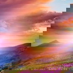 Nittiya Srinara profile icon