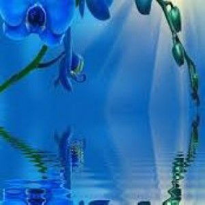 Ningsih Ntsn profile icon