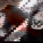 ปลาทู ทอด. profile icon