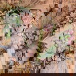 Nur Wijayanti profile icon