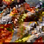 Citra Hidayahputri profile icon