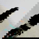 elmiera 98 profile icon