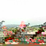 Nilam Nilam profile icon