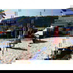 Nikita Sari profile icon