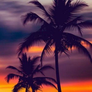 valary tony profile icon