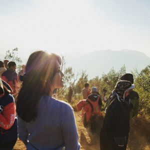 Desti Ratna profile icon