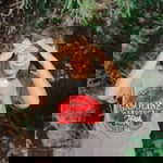 นัทฐินันท์ ฯ. profile icon