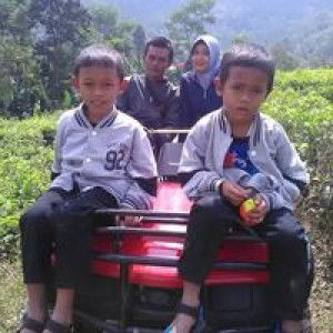 Nur Fatimah profile icon