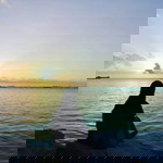 Sha Akma Kamelia profile icon