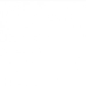 Betika Putri profile icon