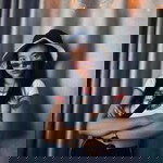 Amita Msp profile icon