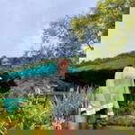 Angel Olarte Rosas profile icon