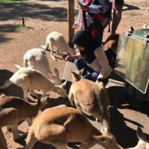 Anis Syahirah profile icon