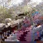 wulan garut profile icon