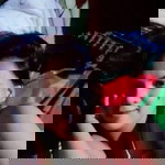 Veive Sun profile icon