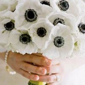 Maii Sarah profile icon